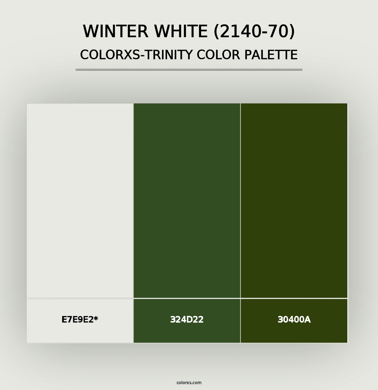 Winter White (2140-70) - Colorxs Trinity Palette