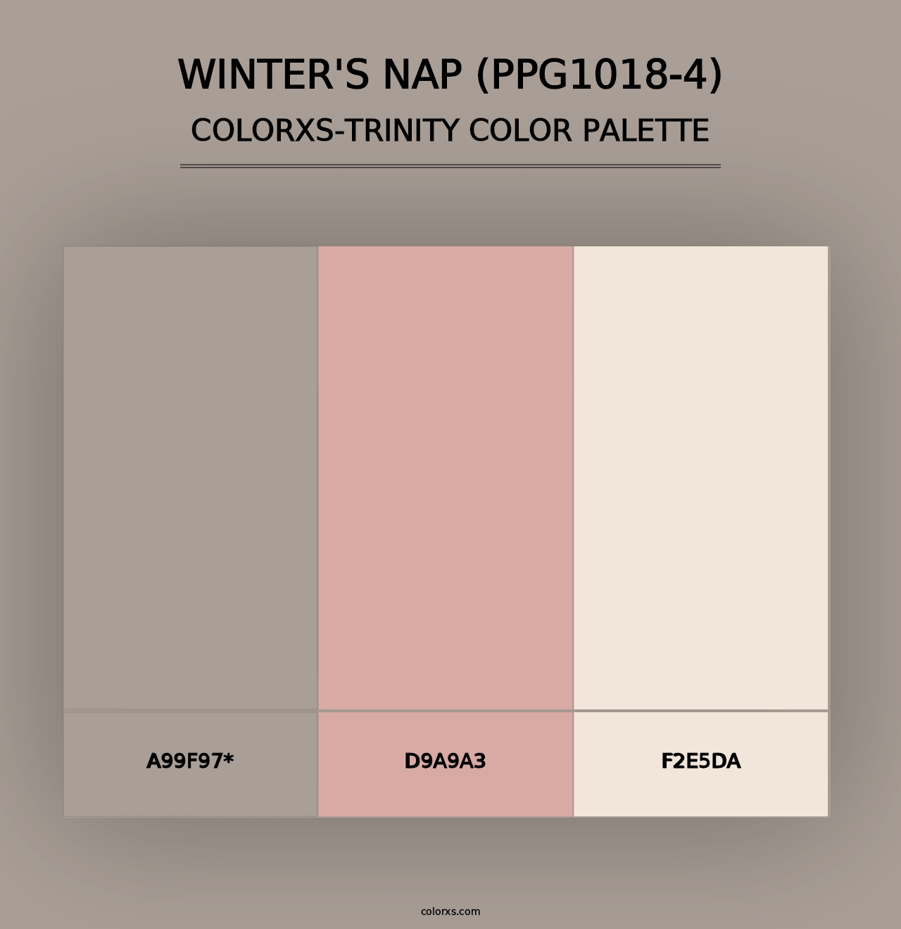 Winter's Nap (PPG1018-4) - Colorxs Trinity Palette