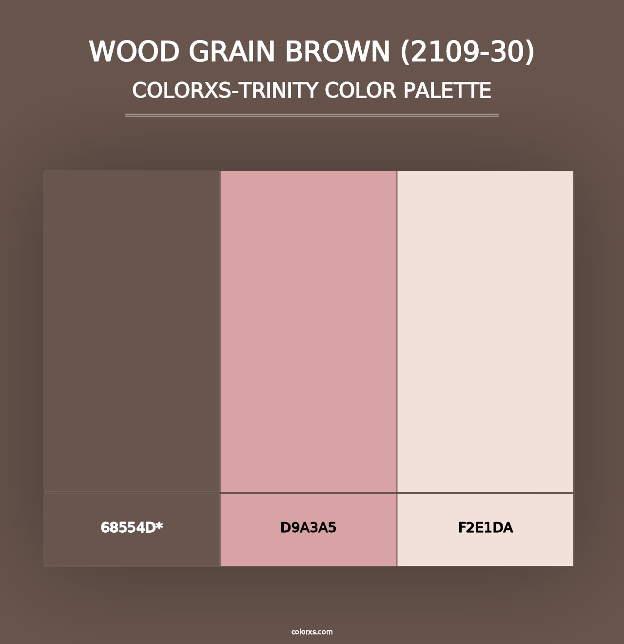 Wood Grain Brown (2109-30) - Colorxs Trinity Palette