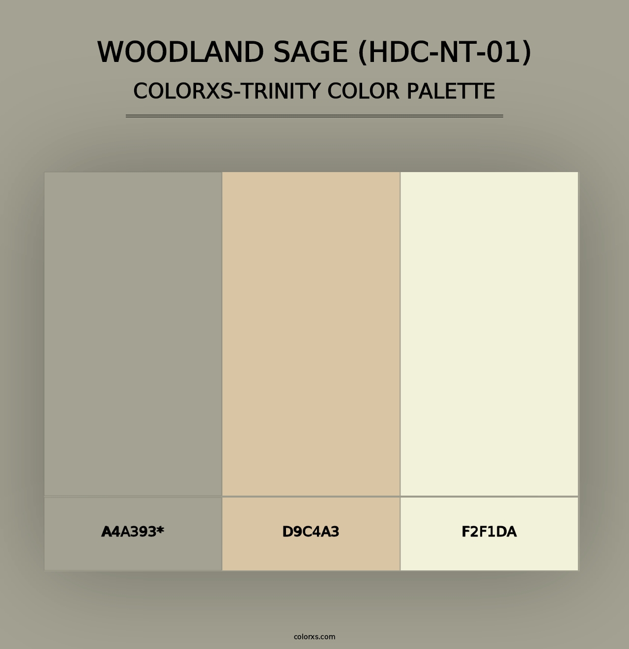 Woodland Sage (HDC-NT-01) - Colorxs Trinity Palette