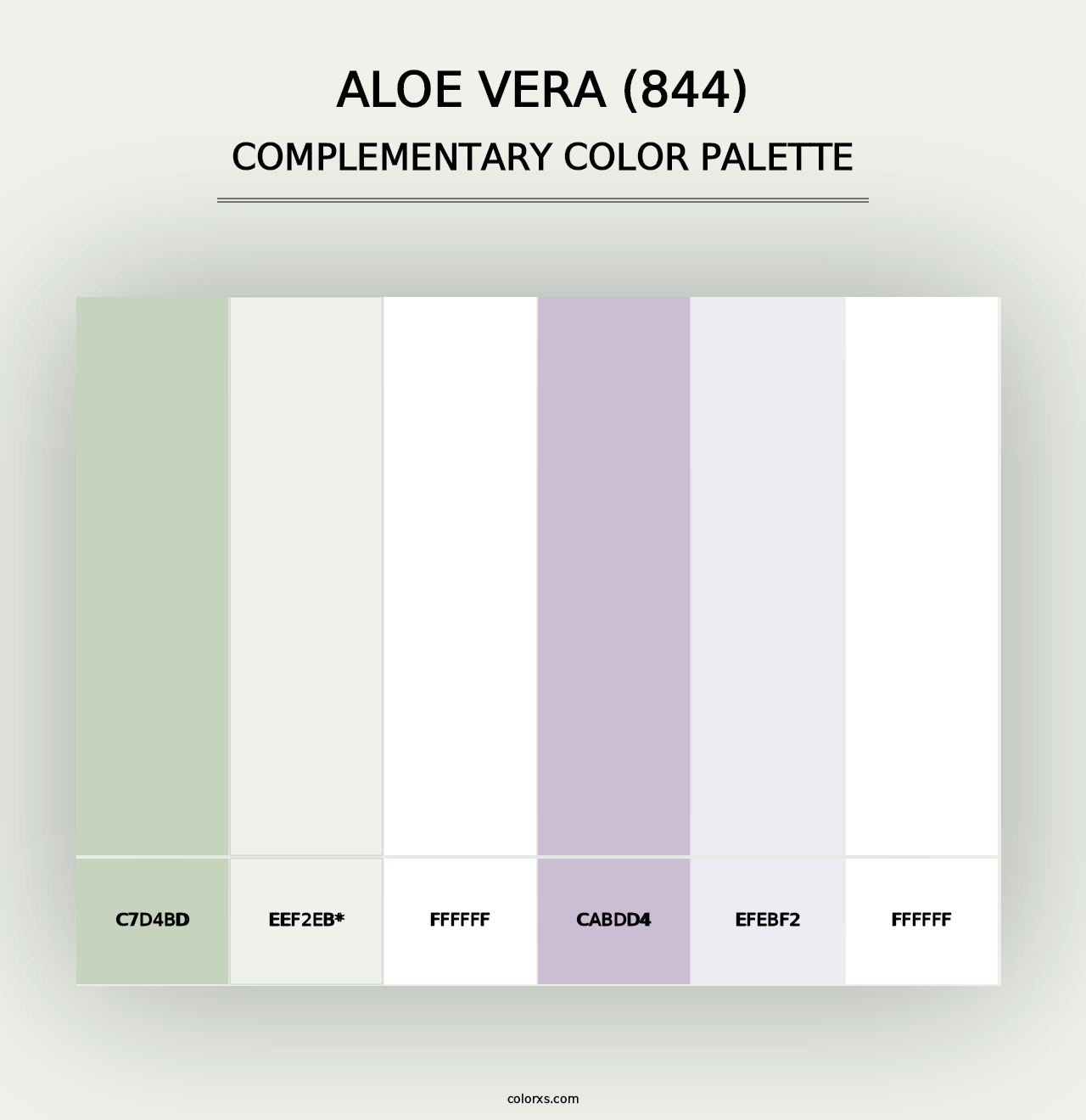 Aloe Vera (844) - Complementary Color Palette