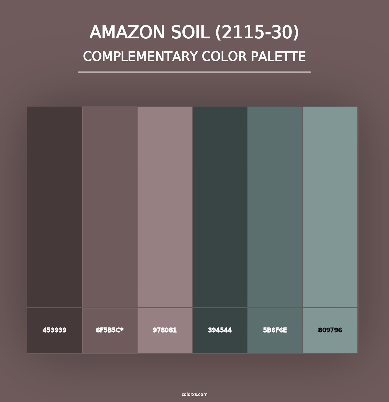 Amazon Soil (2115-30) - Complementary Color Palette