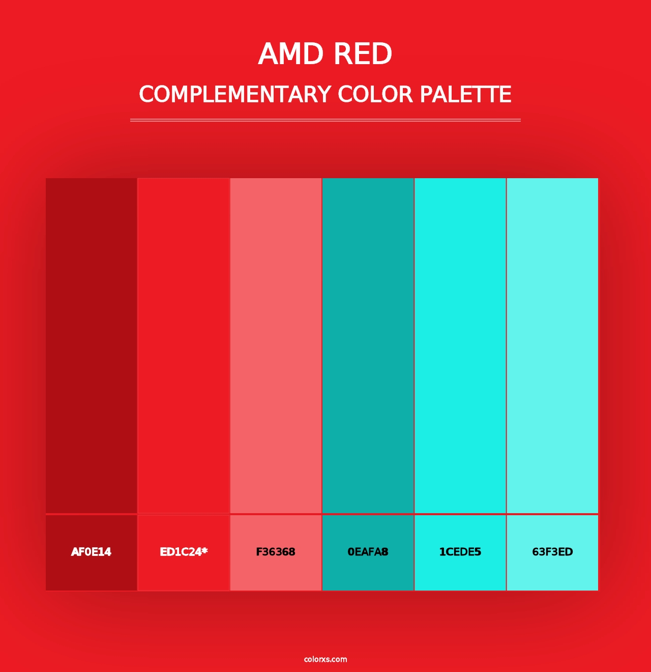 AMD Red - Complementary Color Palette