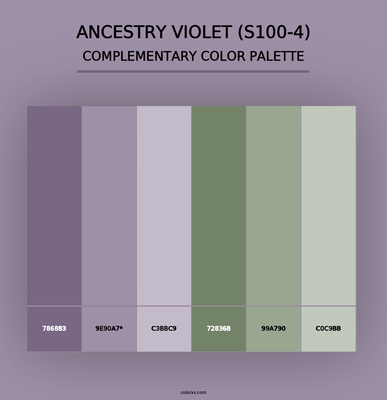 Ancestry Violet (S100-4) - Complementary Color Palette