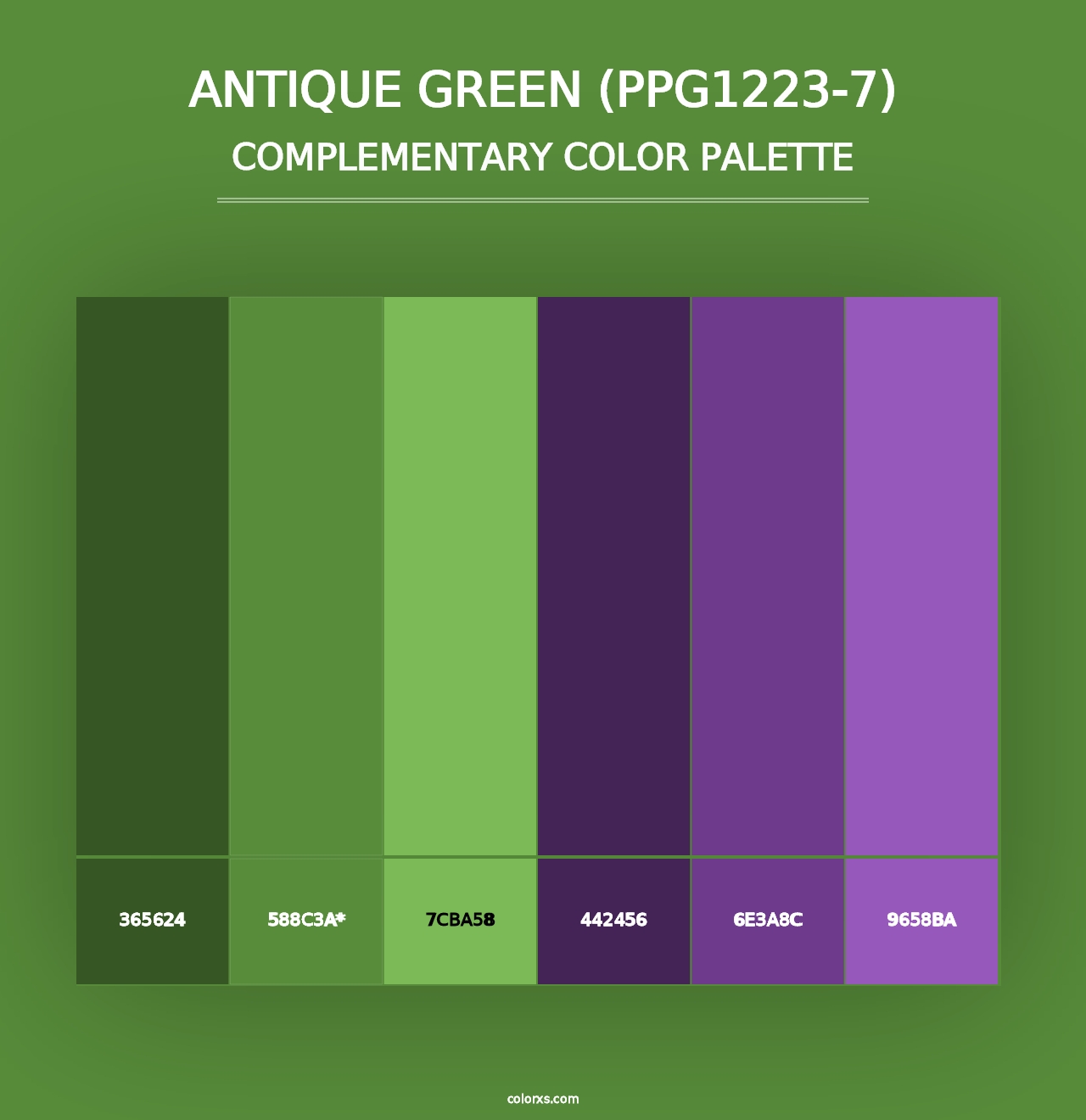 Antique Green (PPG1223-7) - Complementary Color Palette