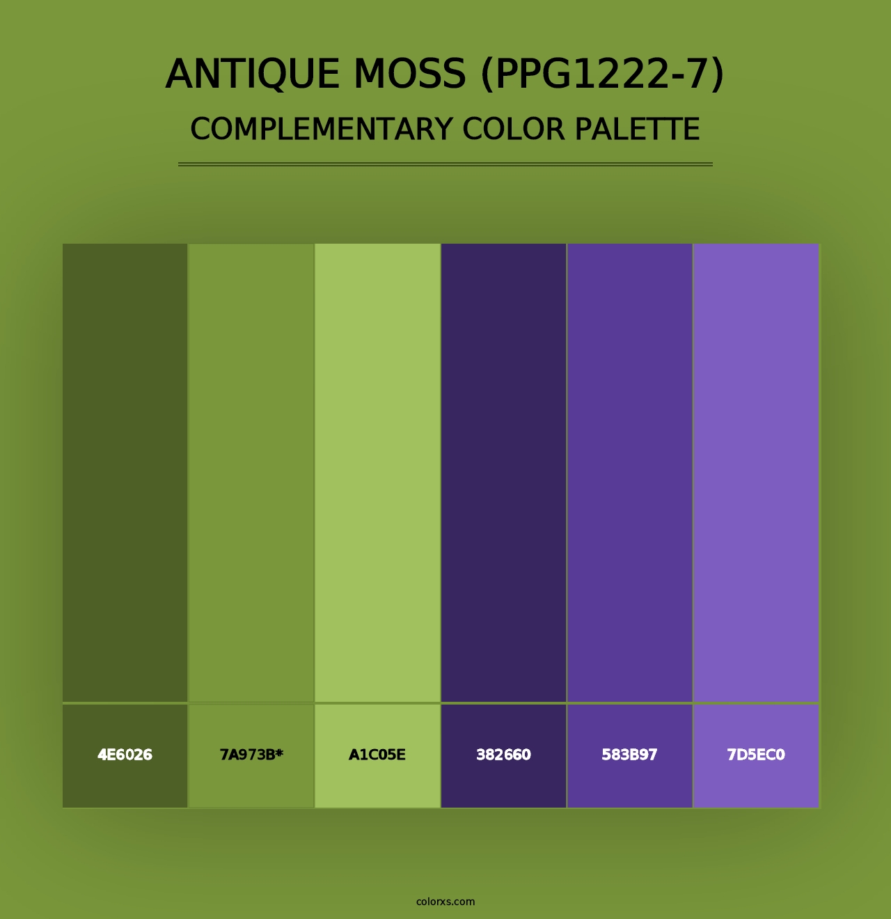 Antique Moss (PPG1222-7) - Complementary Color Palette