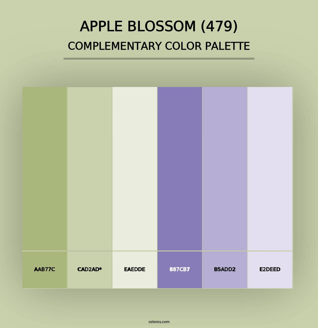 Apple Blossom (479) - Complementary Color Palette