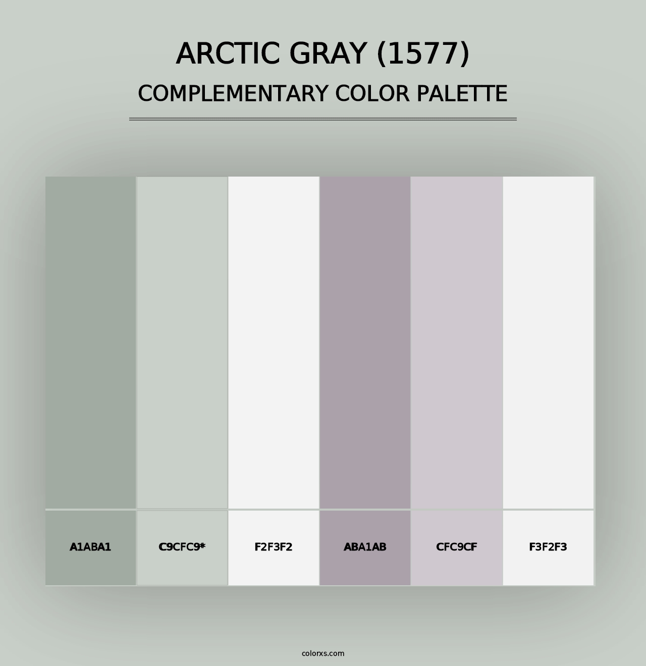 Arctic Gray (1577) - Complementary Color Palette