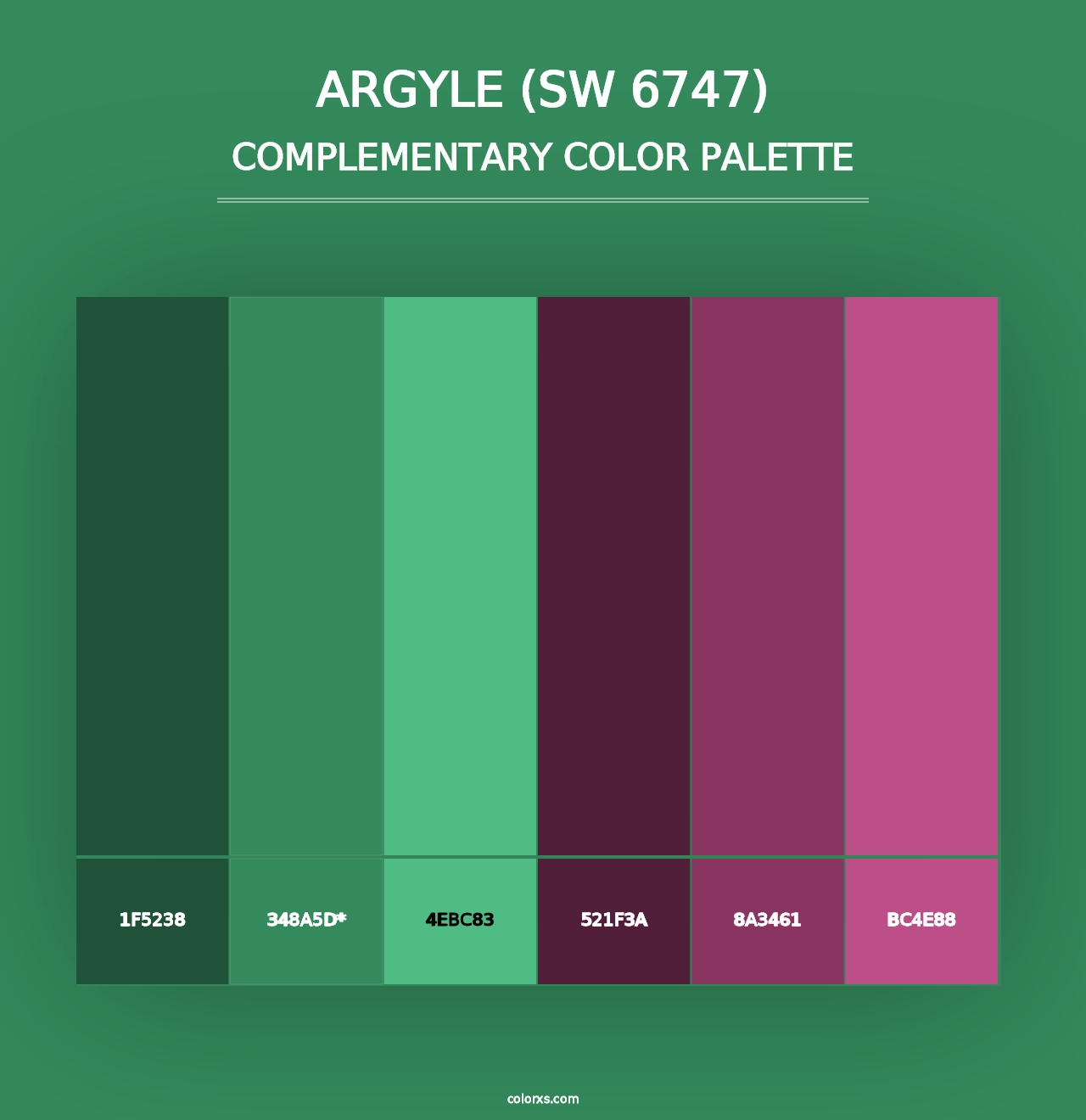 Argyle (SW 6747) - Complementary Color Palette