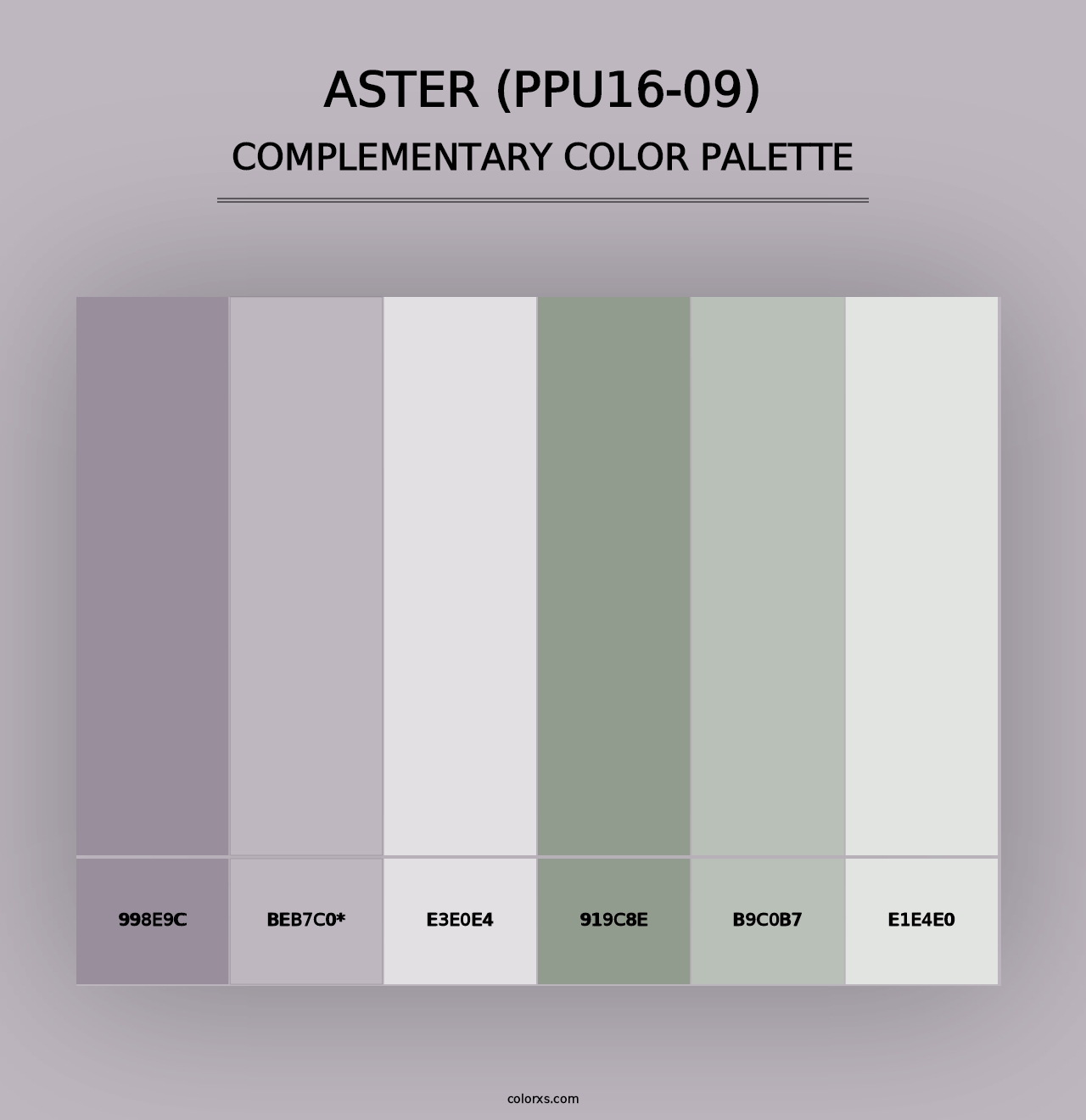 Aster (PPU16-09) - Complementary Color Palette