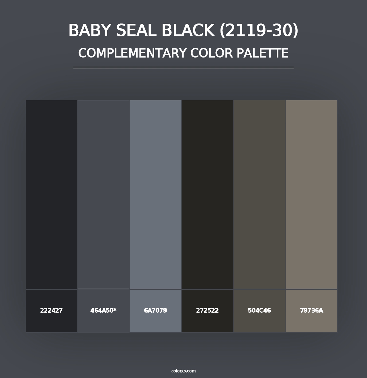 Baby Seal Black (2119-30) - Complementary Color Palette