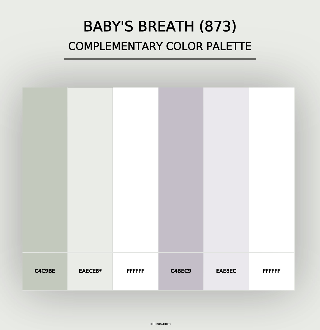 Baby's Breath (873) - Complementary Color Palette