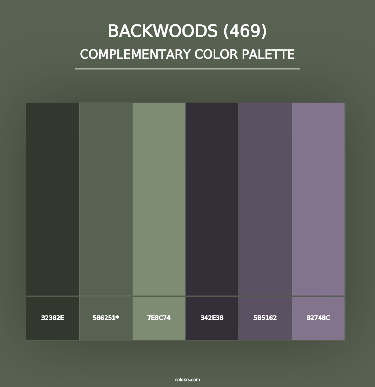 Backwoods (469) - Complementary Color Palette