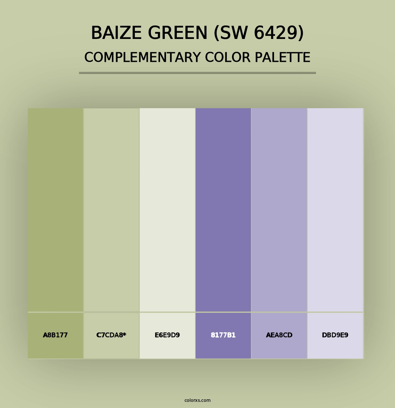 Baize Green (SW 6429) - Complementary Color Palette