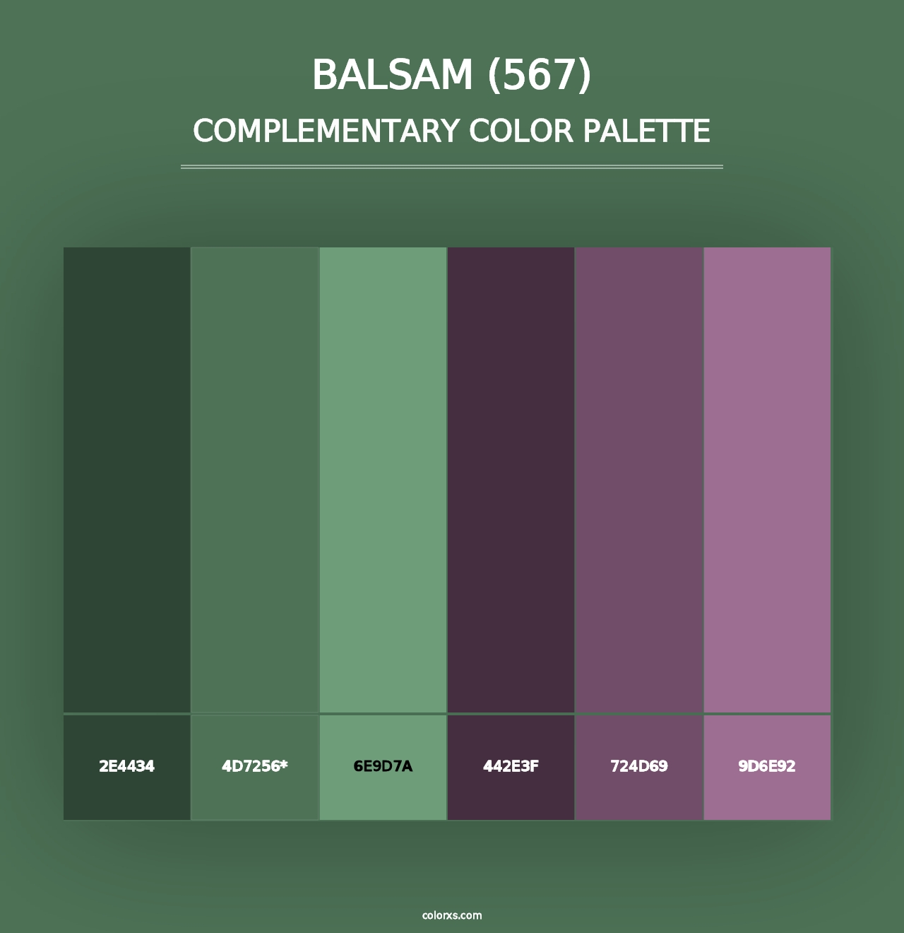 Balsam (567) - Complementary Color Palette