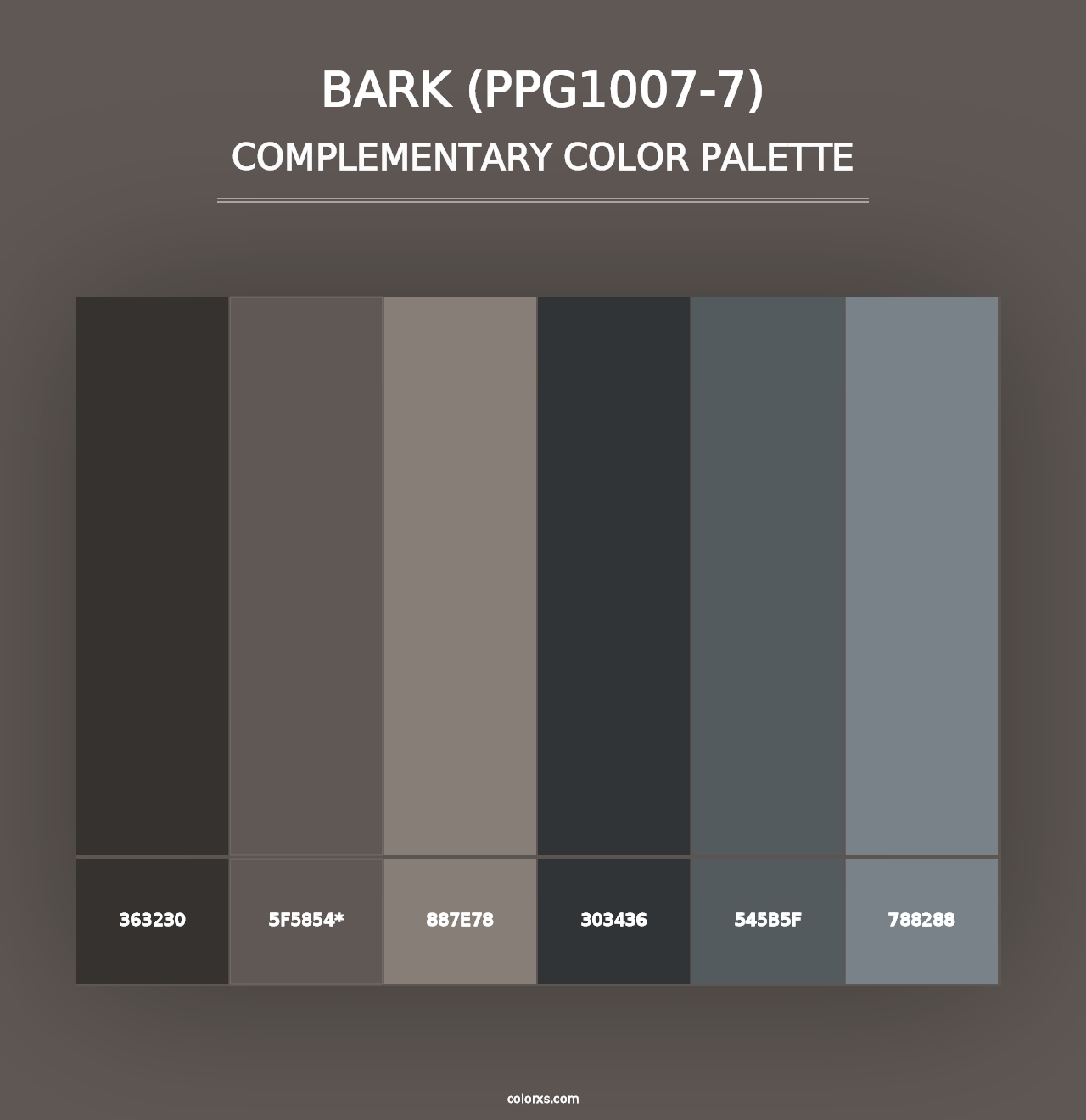 Bark (PPG1007-7) - Complementary Color Palette