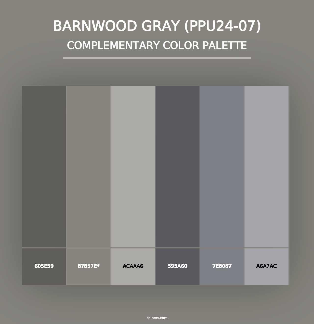 Barnwood Gray (PPU24-07) - Complementary Color Palette