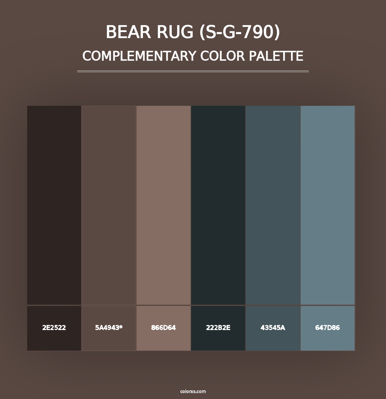 Bear Rug (S-G-790) - Complementary Color Palette