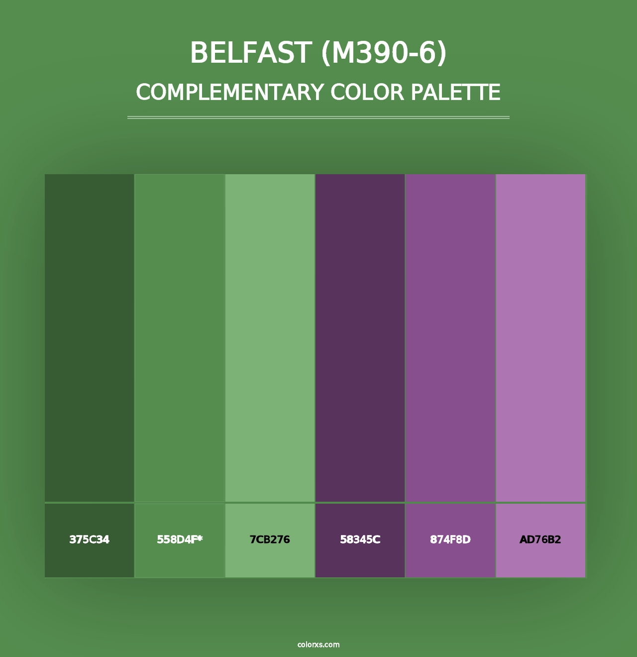 Belfast (M390-6) - Complementary Color Palette