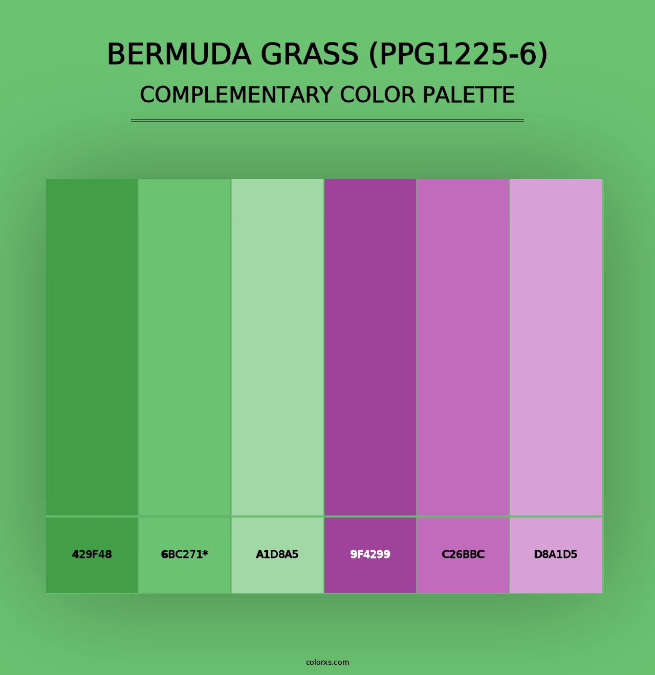 Bermuda Grass (PPG1225-6) - Complementary Color Palette