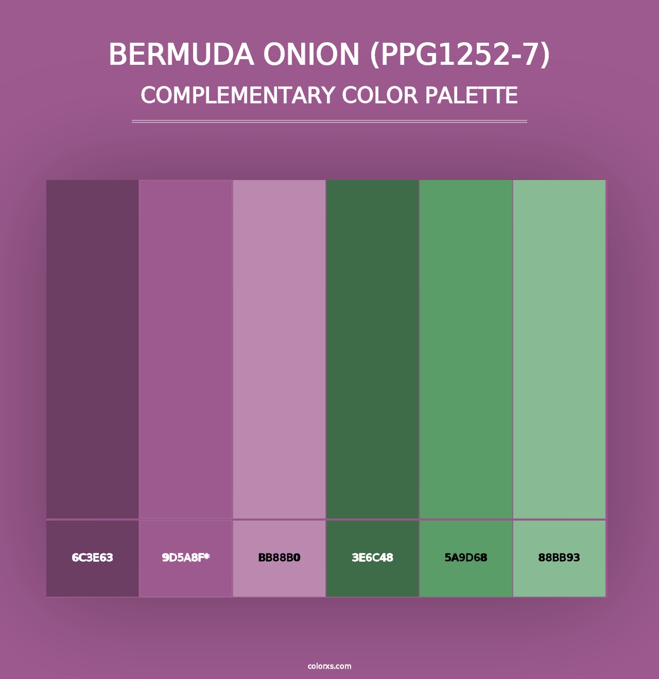 Bermuda Onion (PPG1252-7) - Complementary Color Palette