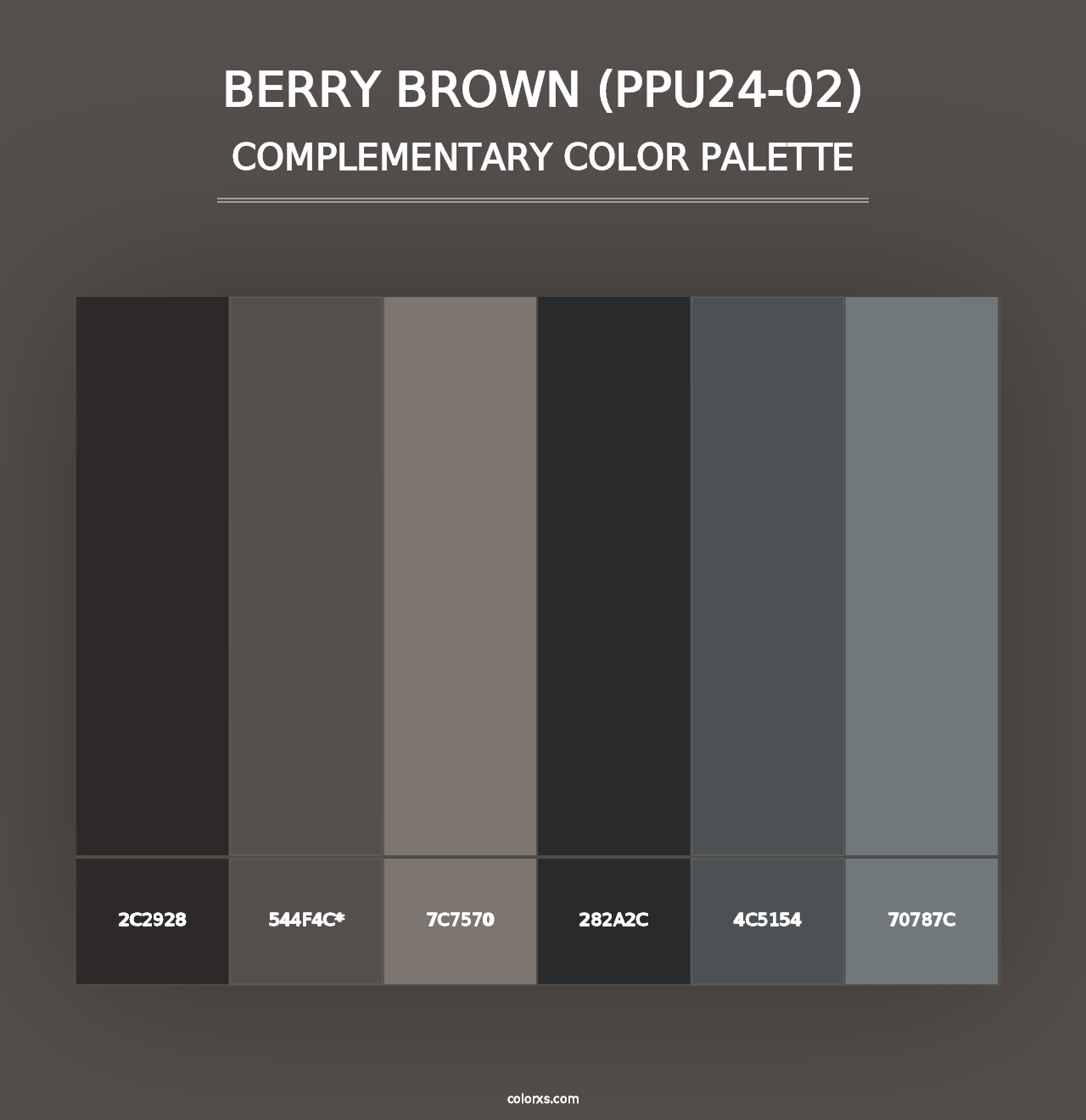 Berry Brown (PPU24-02) - Complementary Color Palette