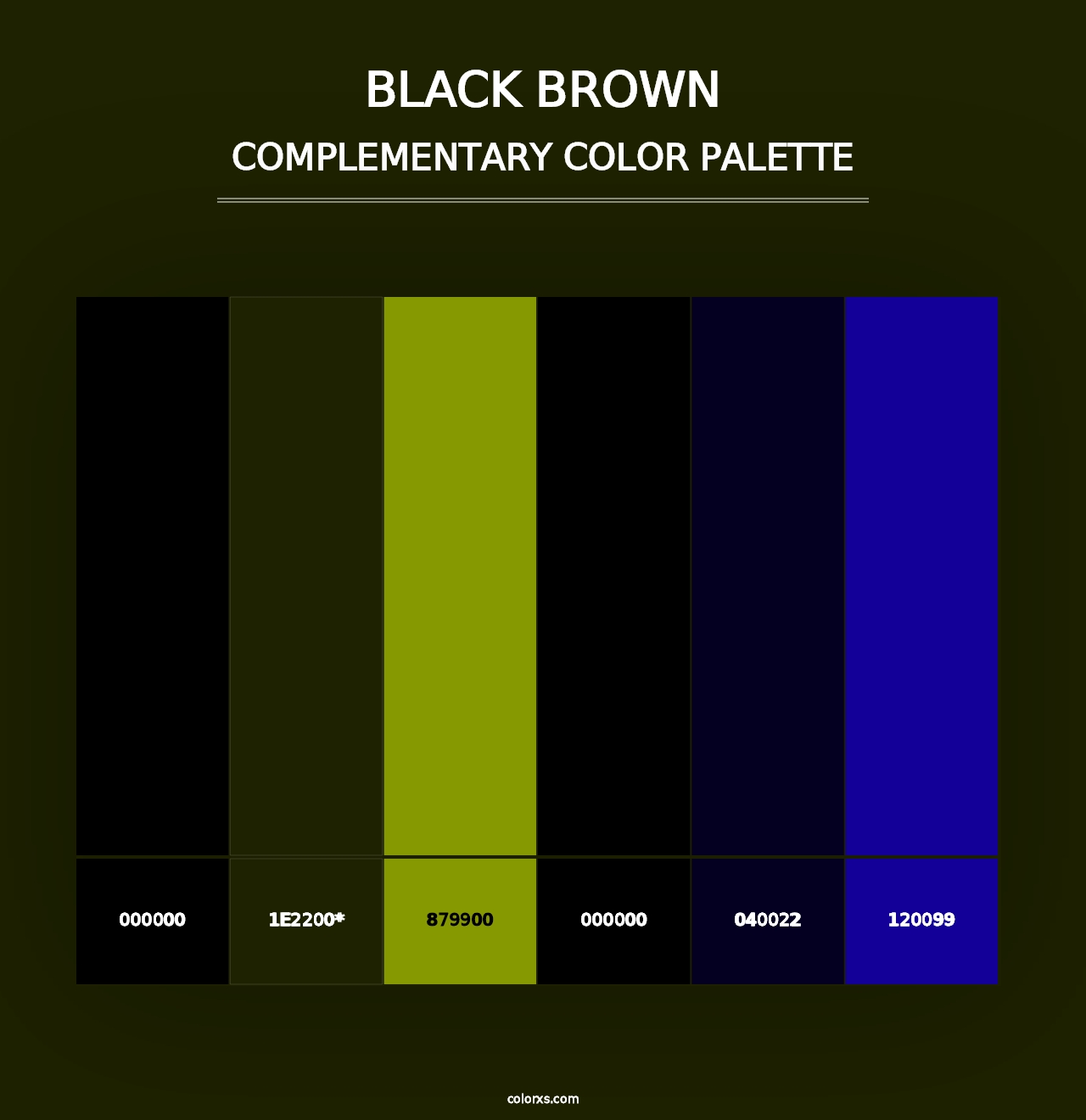 Black Brown - Complementary Color Palette