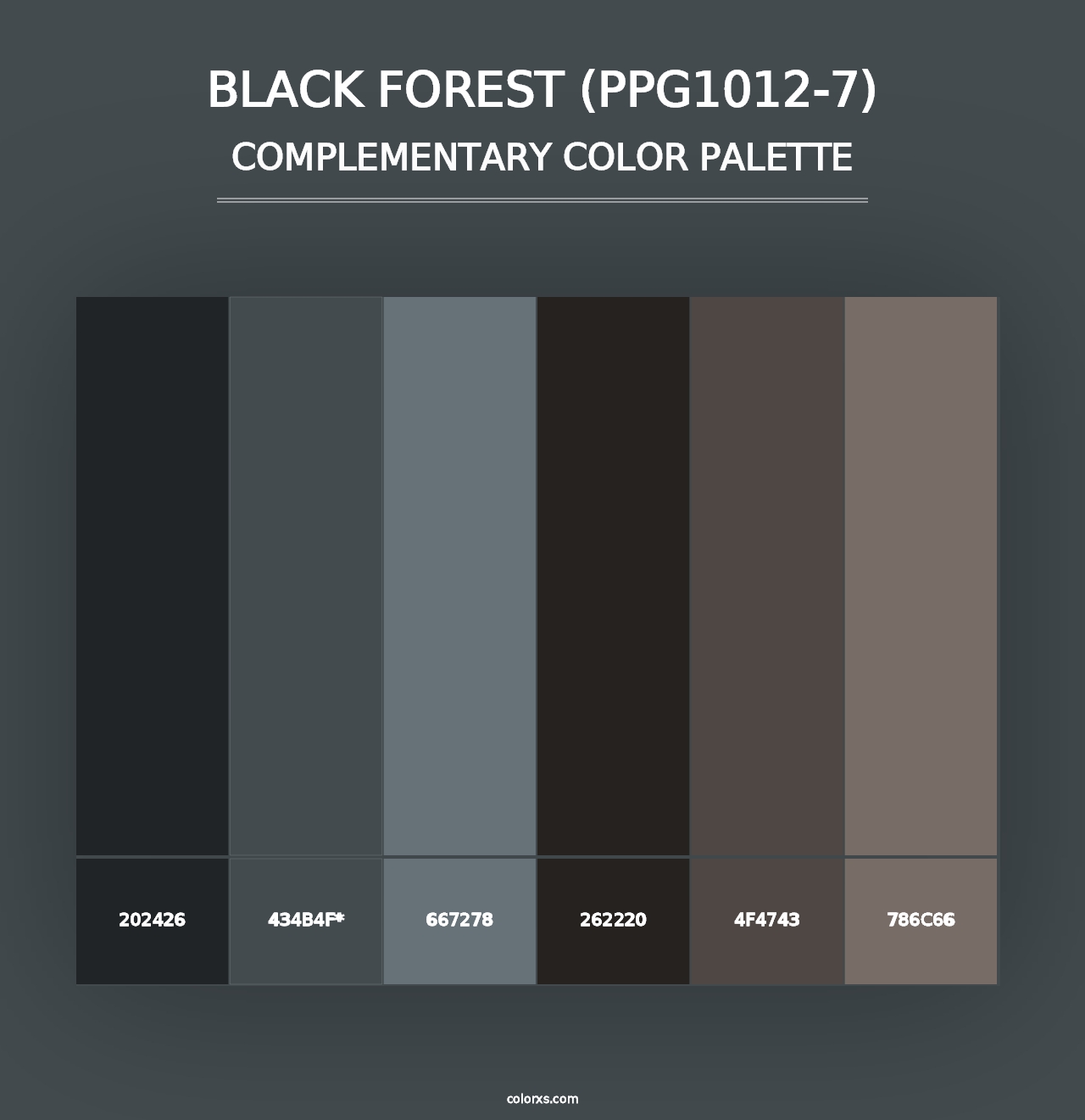 Black Forest (PPG1012-7) - Complementary Color Palette