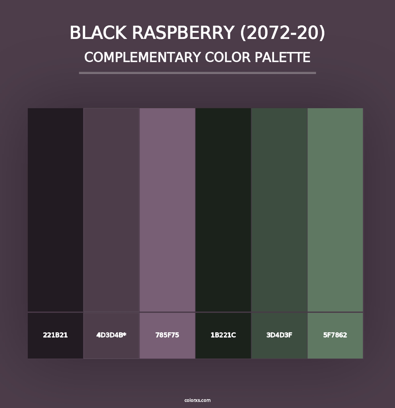 Black Raspberry (2072-20) - Complementary Color Palette