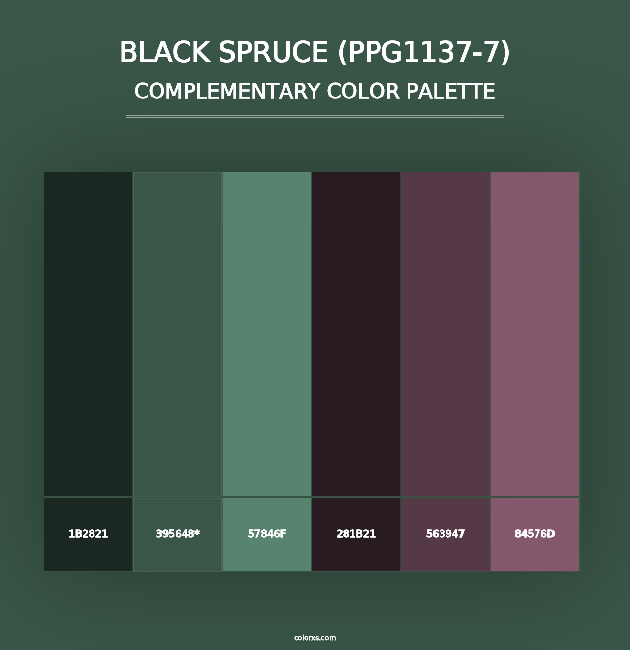 Black Spruce (PPG1137-7) - Complementary Color Palette