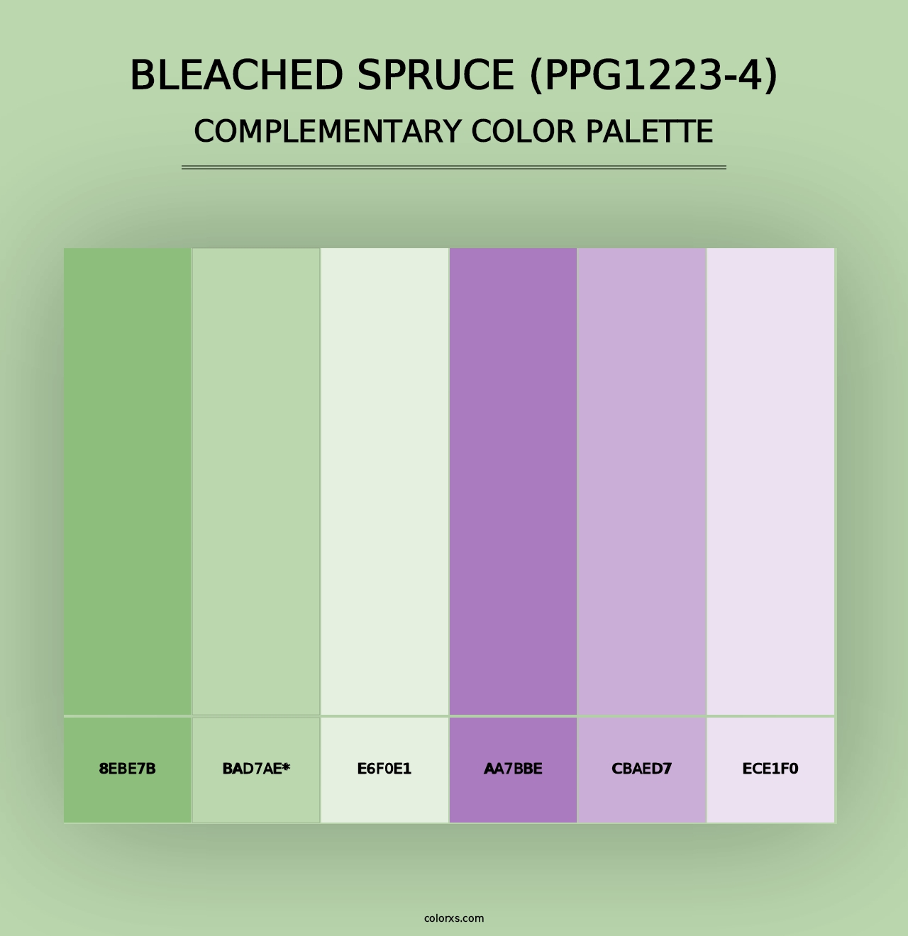 Bleached Spruce (PPG1223-4) - Complementary Color Palette