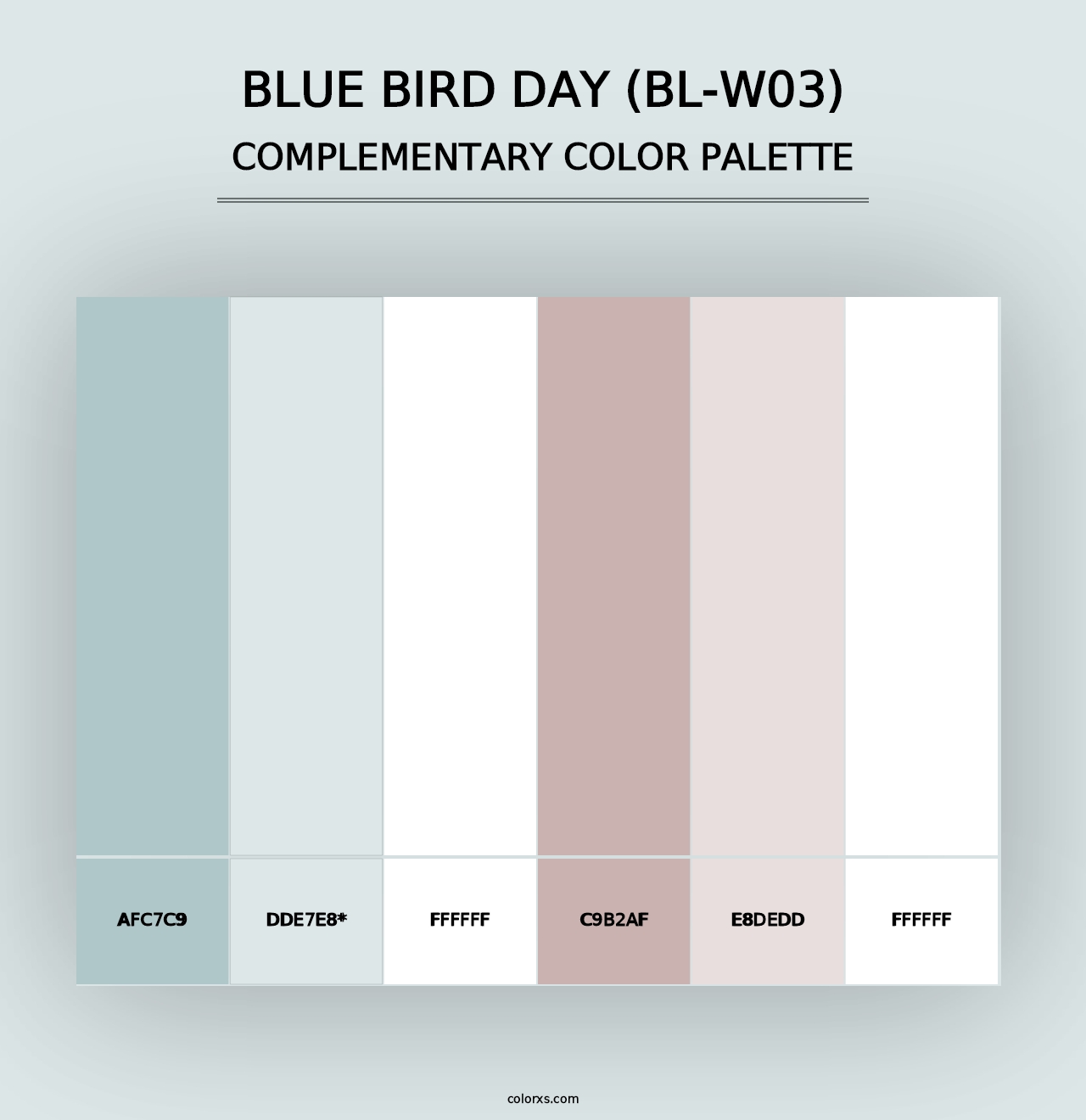 Blue Bird Day (BL-W03) - Complementary Color Palette