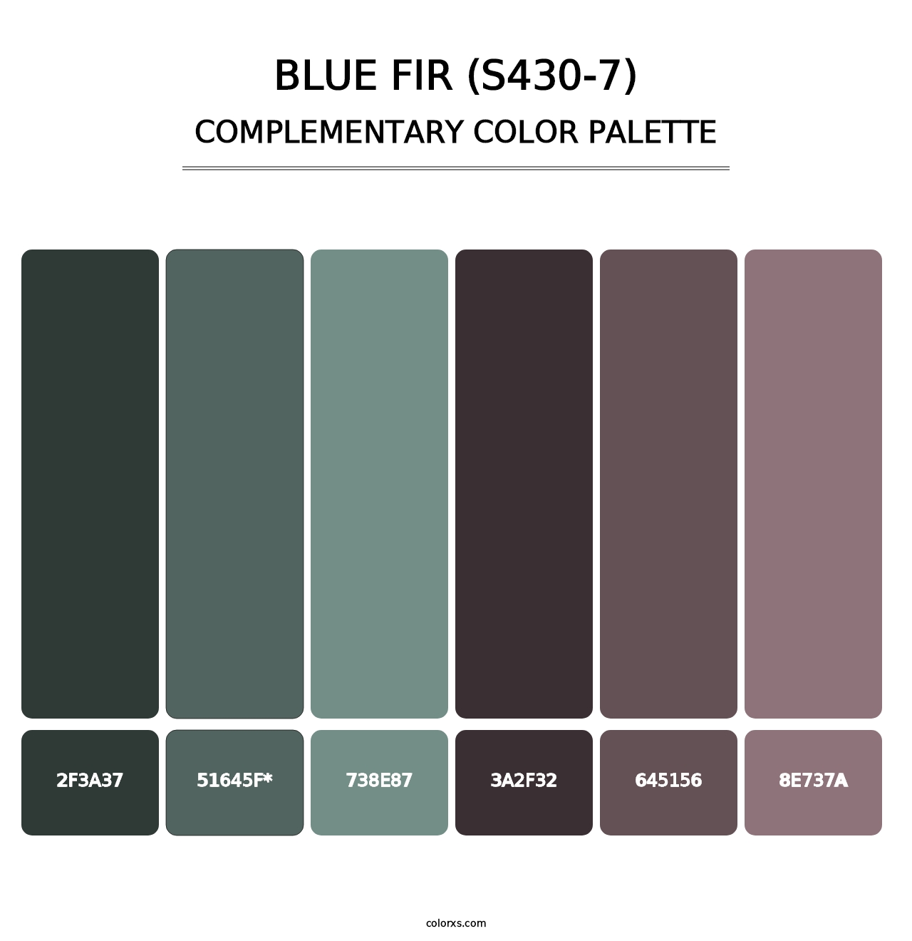 Blue Fir (S430-7) - Complementary Color Palette