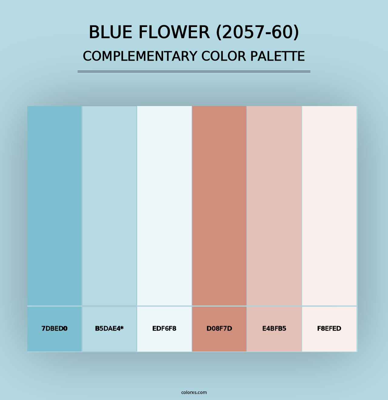 Blue Flower (2057-60) - Complementary Color Palette