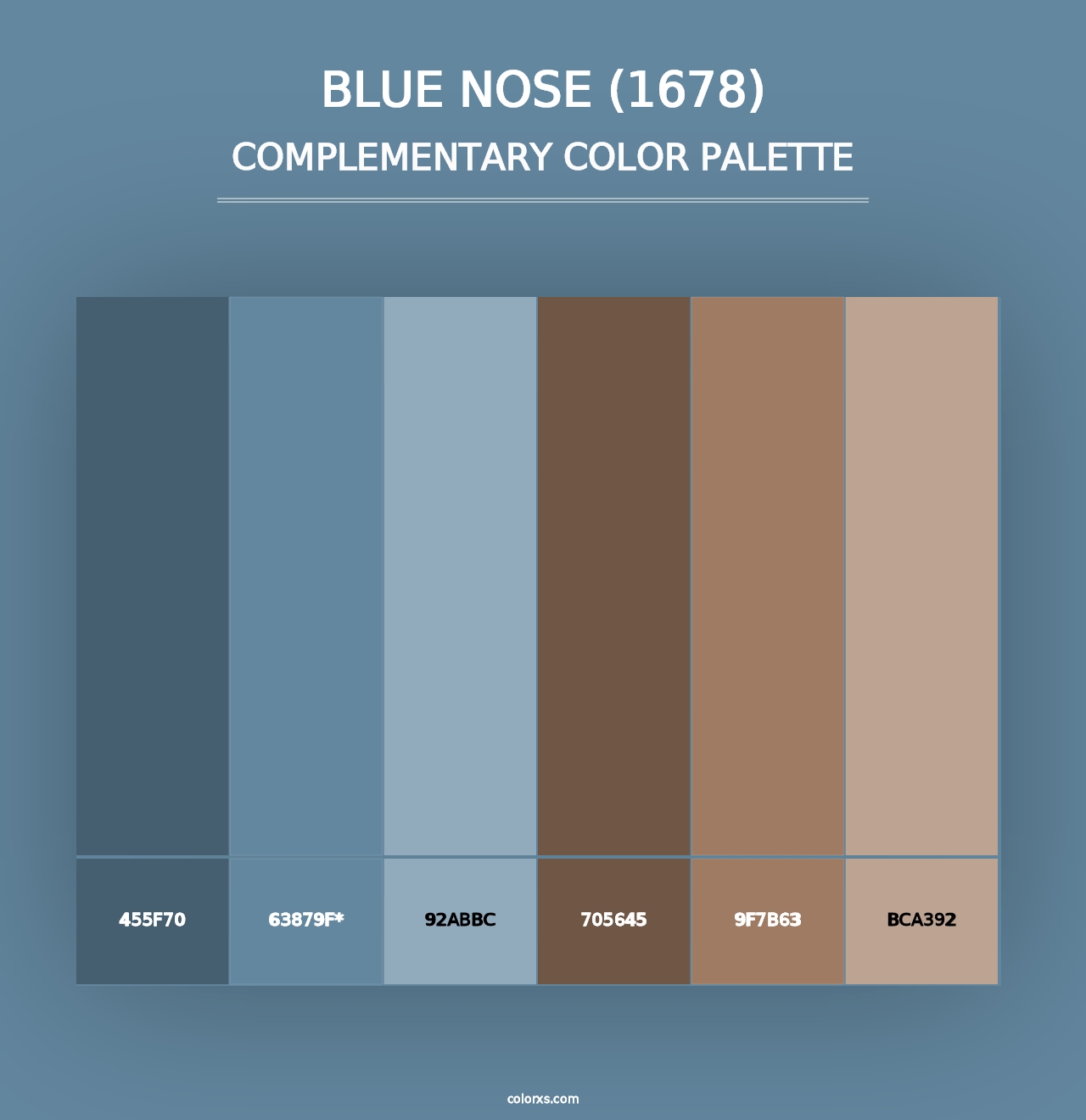 Blue Nose (1678) - Complementary Color Palette