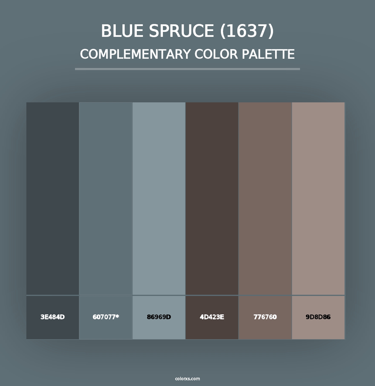 Blue Spruce (1637) - Complementary Color Palette