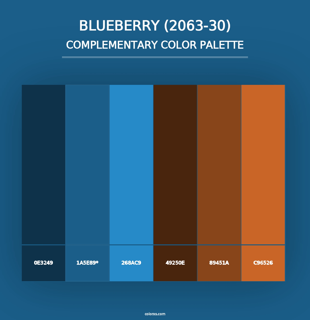 Blueberry (2063-30) - Complementary Color Palette