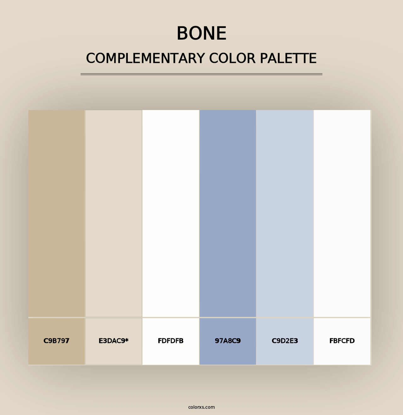 Bone - Complementary Color Palette