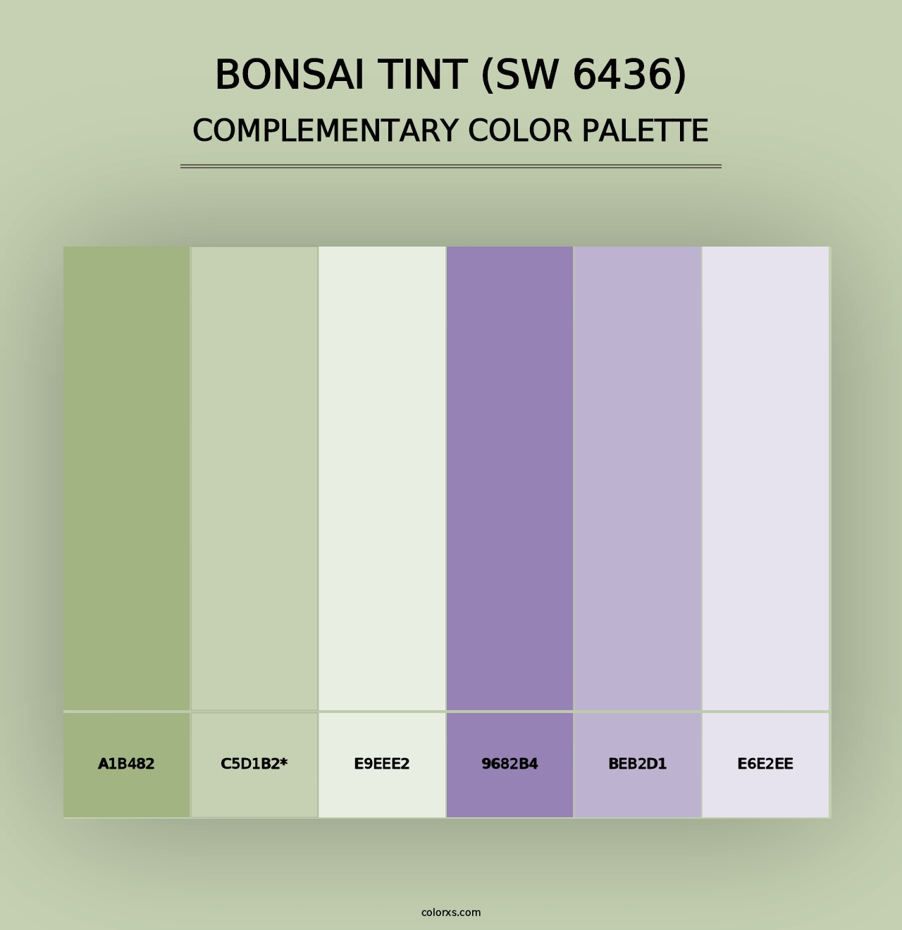 Bonsai Tint (SW 6436) - Complementary Color Palette