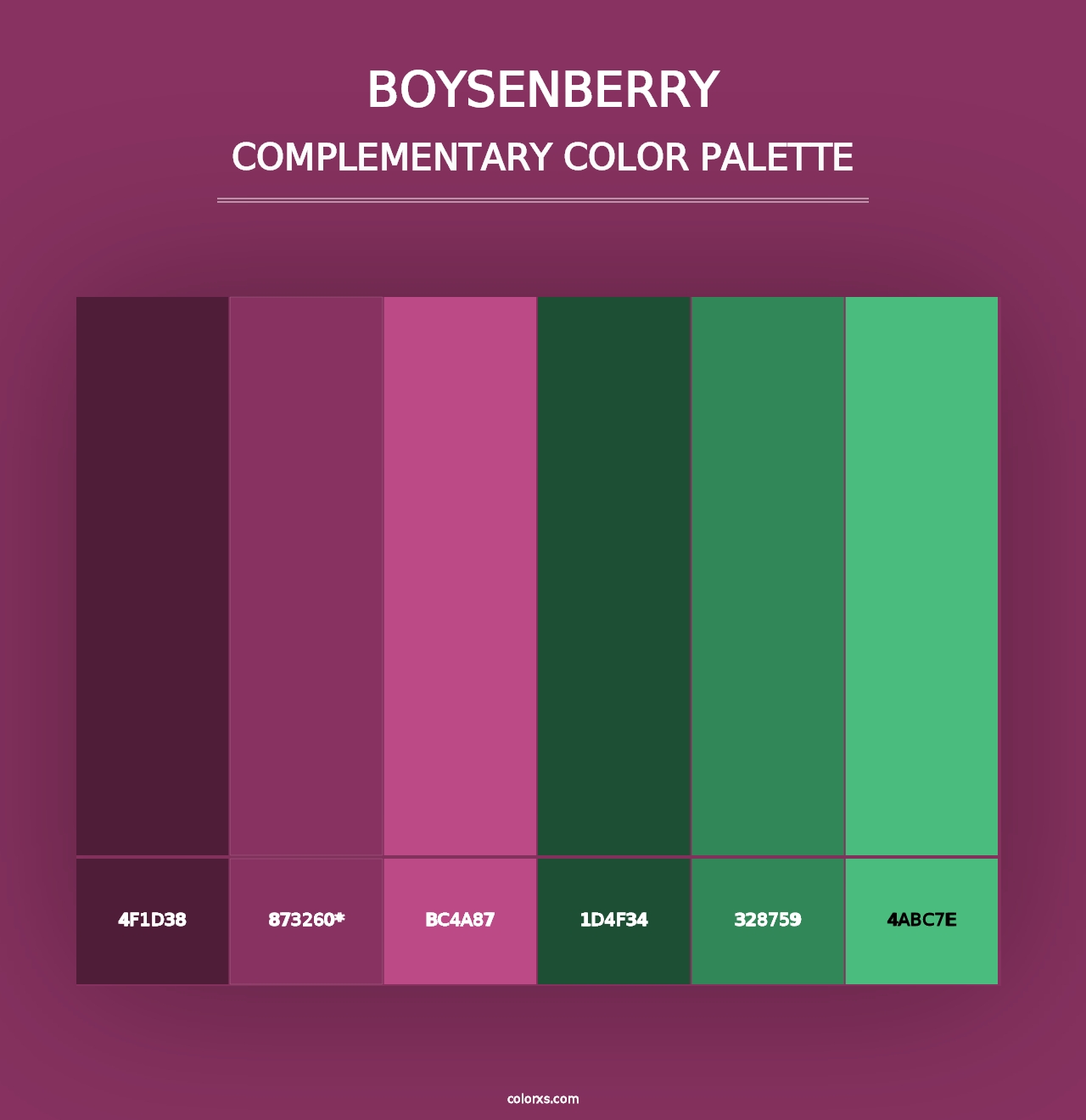 Boysenberry - Complementary Color Palette