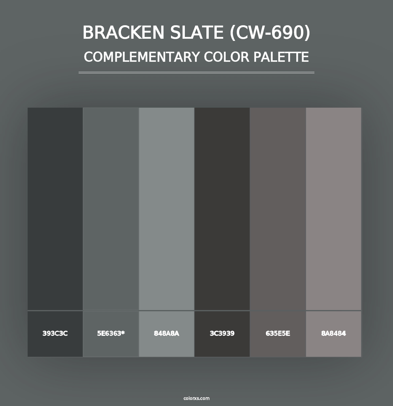 Bracken Slate (CW-690) - Complementary Color Palette