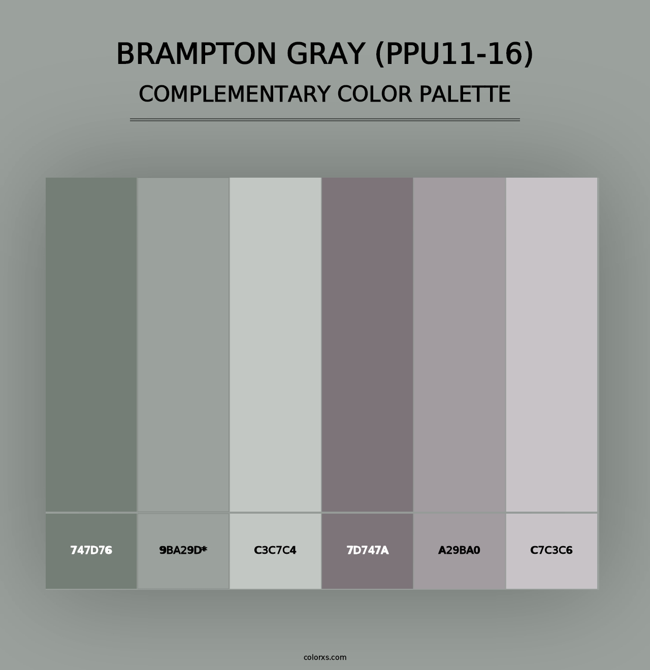 Brampton Gray (PPU11-16) - Complementary Color Palette