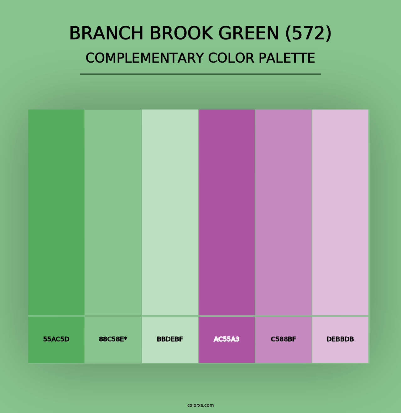 Branch Brook Green (572) - Complementary Color Palette