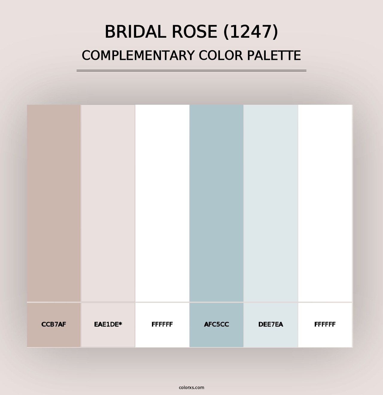 Bridal Rose (1247) - Complementary Color Palette