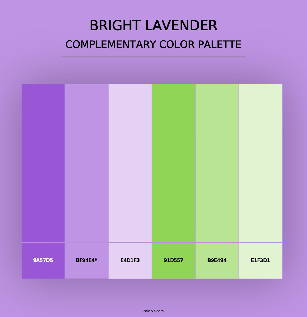 Bright Lavender - Complementary Color Palette