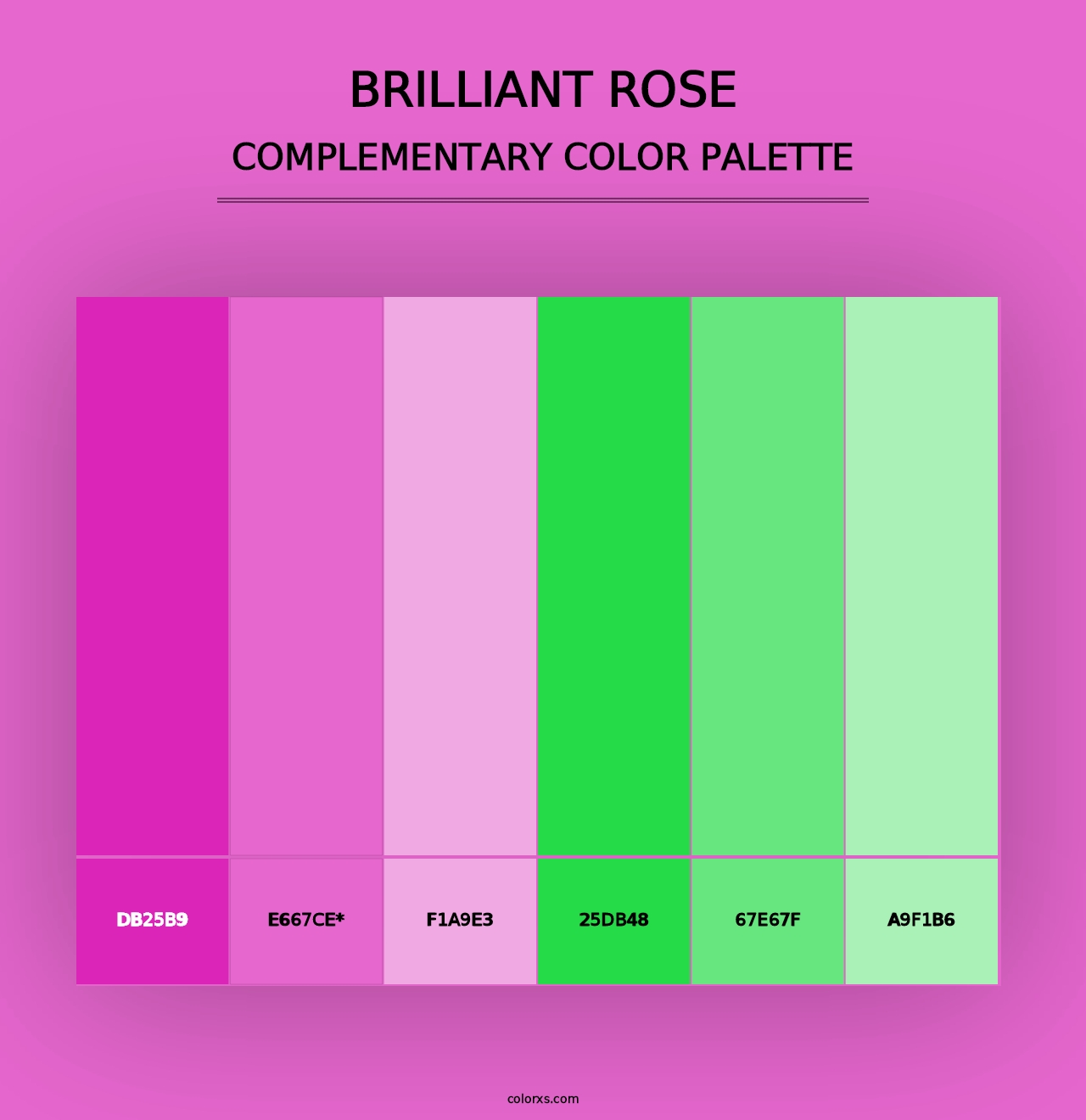 Brilliant Rose - Complementary Color Palette