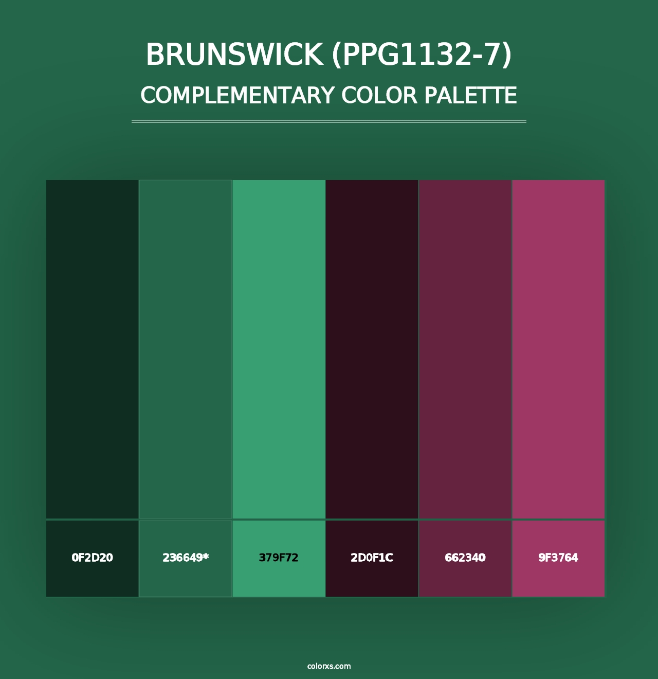 Brunswick (PPG1132-7) - Complementary Color Palette