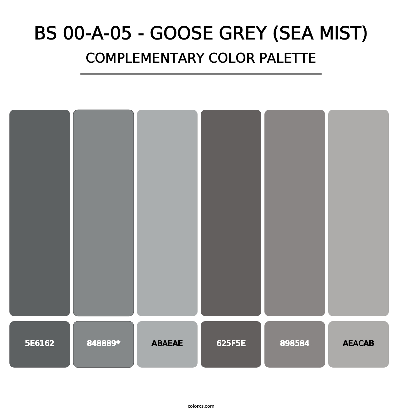 BS 00-A-05 - Goose Grey (Sea Mist) - Complementary Color Palette