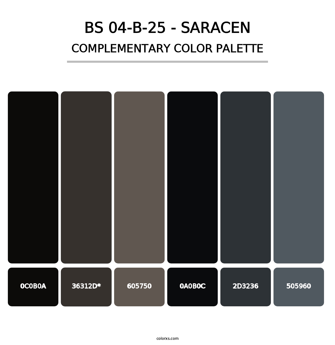 BS 04-B-25 - Saracen - Complementary Color Palette