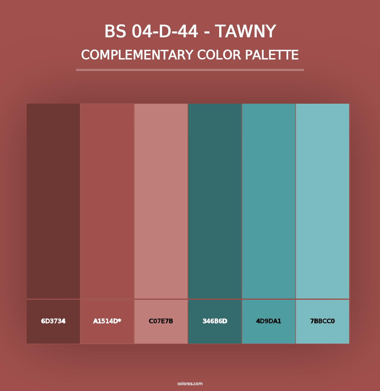 BS 04-D-44 - Tawny - Complementary Color Palette